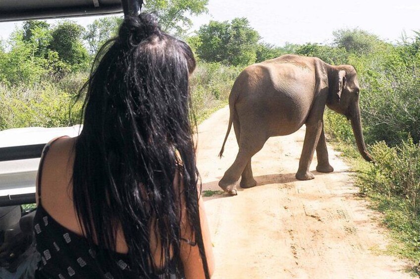 A person observing an elephant on a dirt road. 1