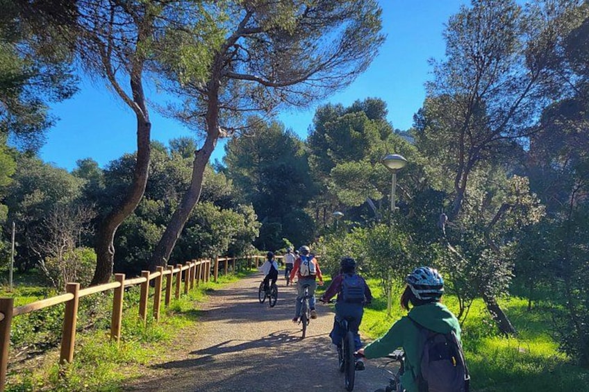 A paved path with cyclists, surrounded by trees and greenery. 3