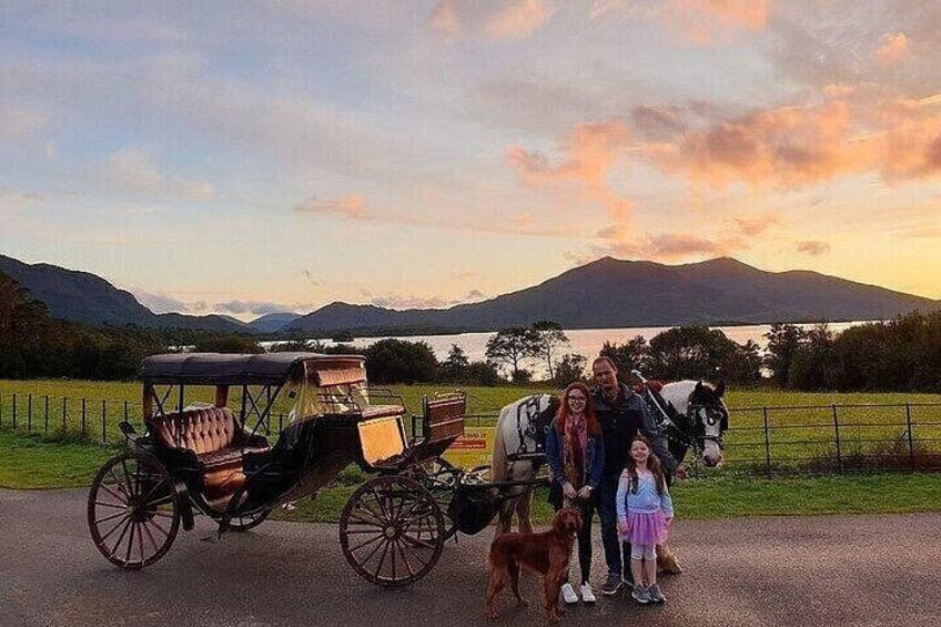 A vintage carriage, a horse, and a dog in a rural setting with mountains in the background. 4