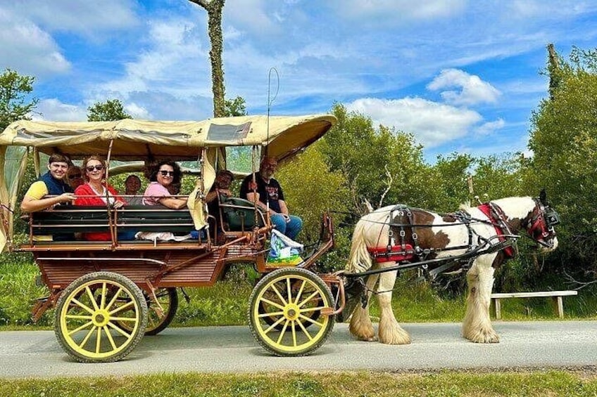 Una carrozza trainata da cavalli con passeggeri su un vialetto lastricato. 3