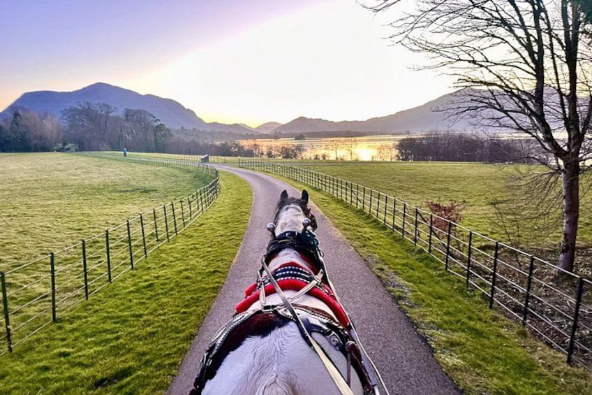 A horse-drawn carriage on a paved path with a fence on one side, surrounded by grassy fields and a mountainous landscape in the background. 2