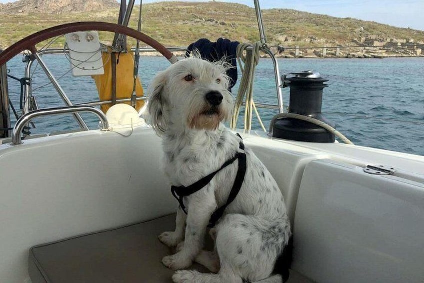 Private sailing cruise to Delos & Rhenia with Lunch & Transfer 3