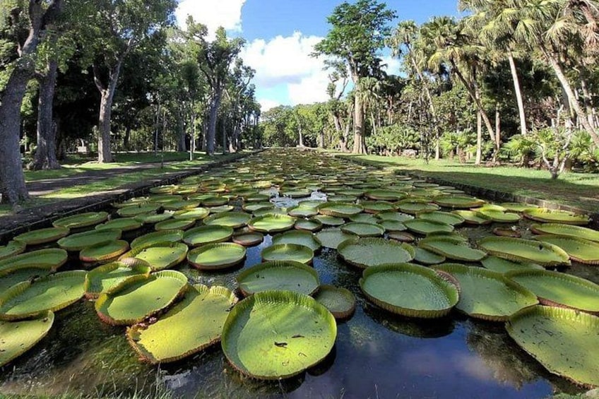Mauritius Guided North Tour (Private) 3