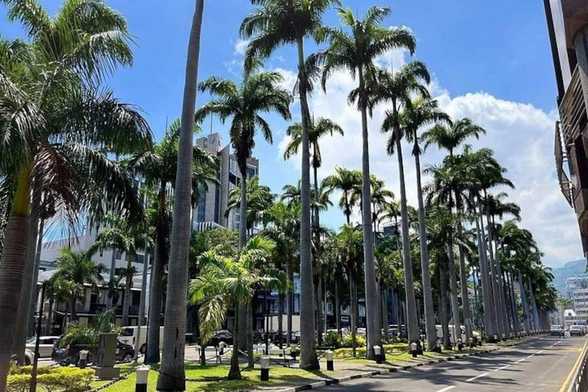 Mauritius Guided North Tour (Private) 5