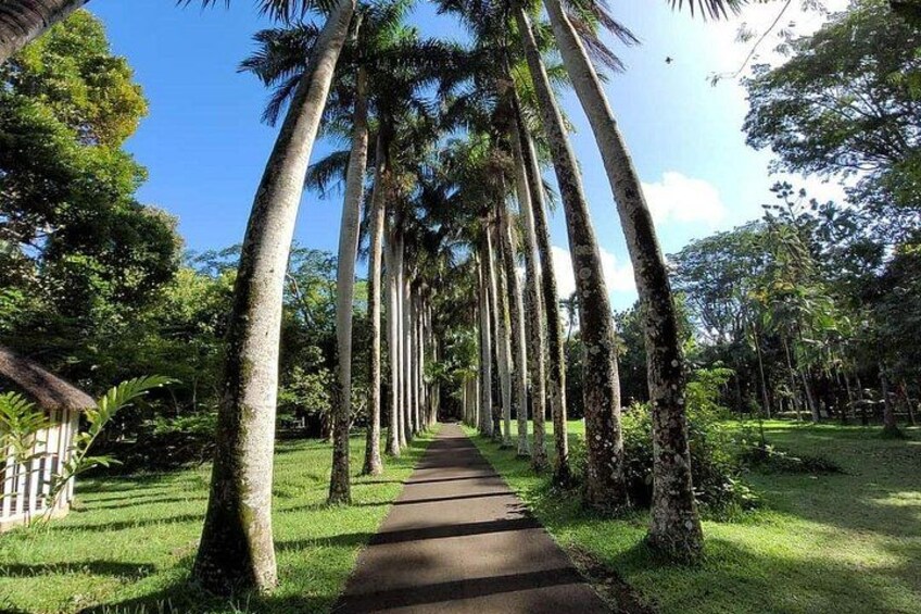Mauritius Guided North Tour (Private) 4