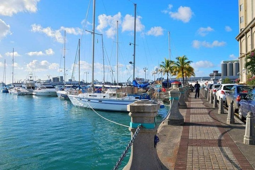 Mauritius Guided North Tour (Private) 4