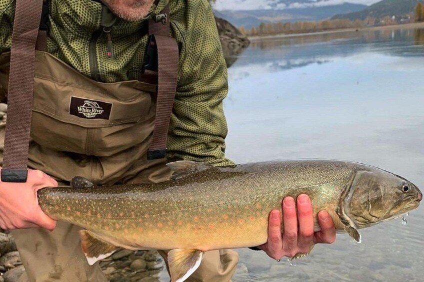 Half Day Walk&Wade (Fly-Fishing / Spin Casting from shore) 4