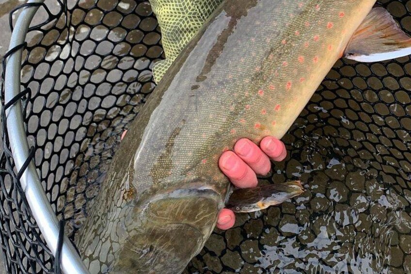 Half Day Walk&Wade (Fly-Fishing / Spin Casting from shore) 3