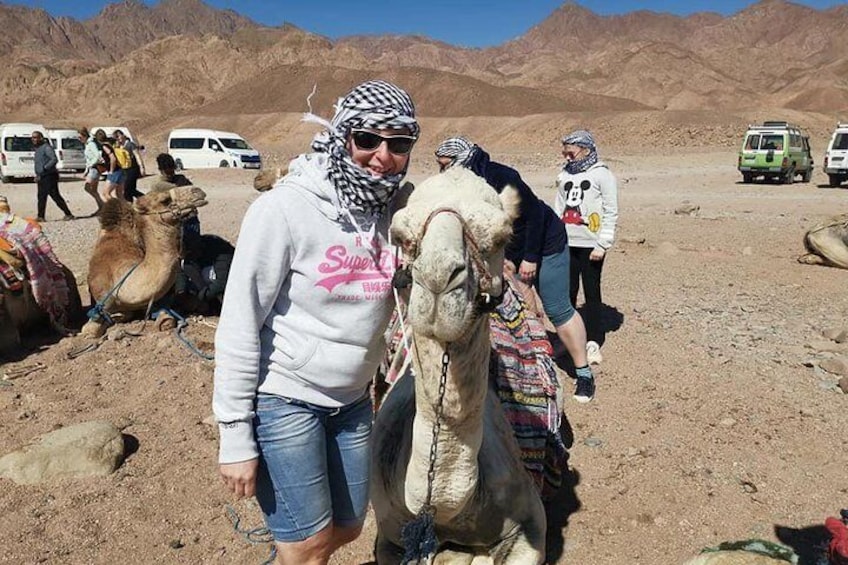 Magic Trip "quad bike safari, camel riding, Intro Dive" 5