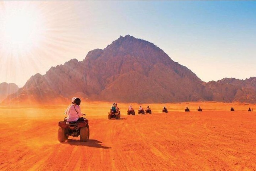 Magic Trip "quad bike safari, camel riding, Intro Dive" 2
