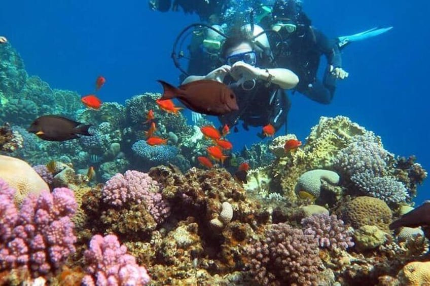 Magic Trip "quad bike safari, camel riding, Intro Dive" 4