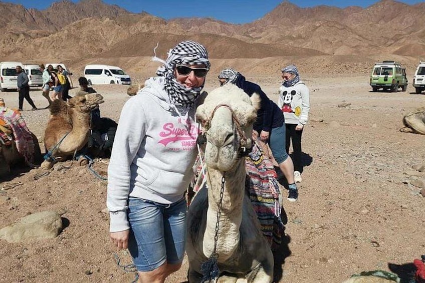 A desert landscape with a camel, a person wearing a hoodie, and several vehicles in the background. 2