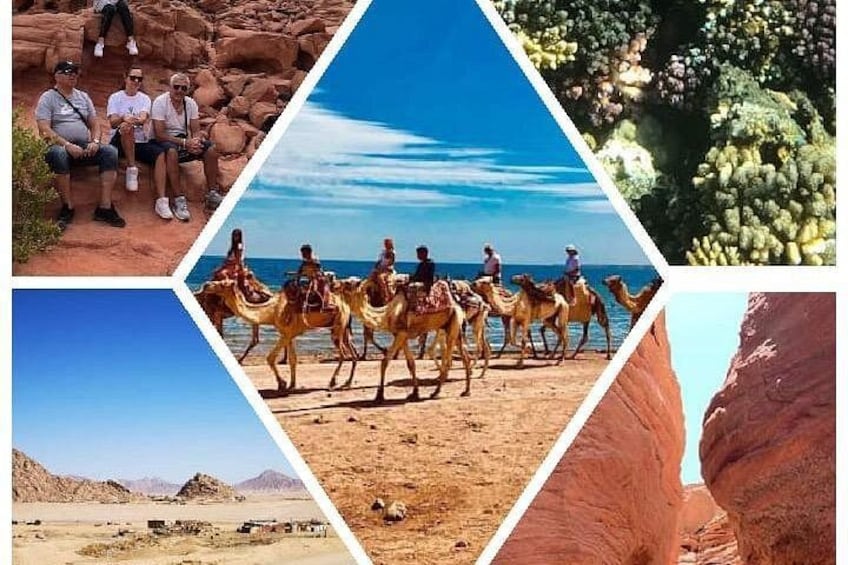 A desert landscape with rock formations, a beach, and camels. 3