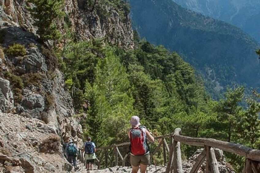 A group of hikers on a rocky trail with a wooden fence, surrounded by dense green forest and mountains in the background. 2