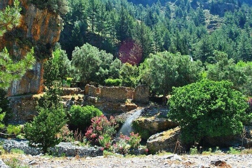 SAMARIA Gorge Walk: full day from area Heraklion CRETE 3