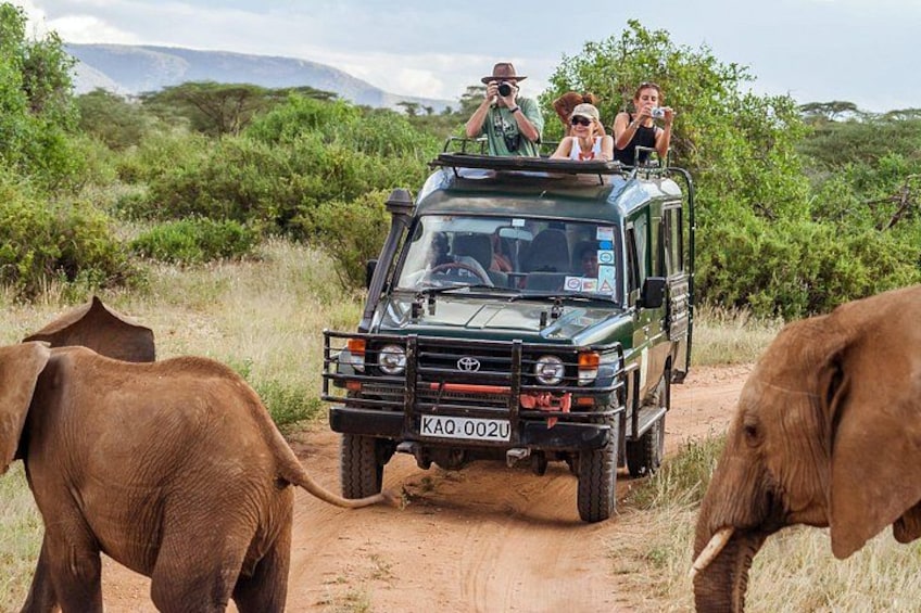 A safari vehicle with passengers, an elephant, and a dirt road. 4