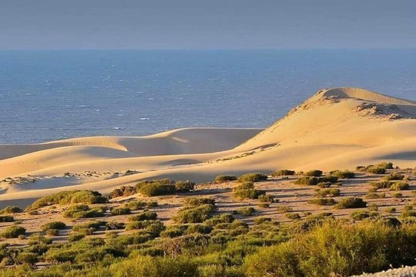 Dunas de arena, vegetación escasa y un cuerpo de agua. 2
