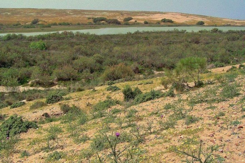 Paisaje seco y montañoso con poca vegetación y un cuerpo de agua distante. 5