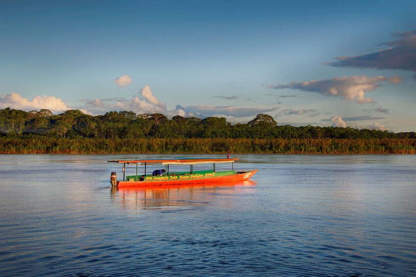 4-Day Puerto Maldonado Rainforest Tour