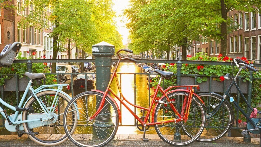 A canal with bicycles parked along the side, surrounded by trees and buildings. 1
