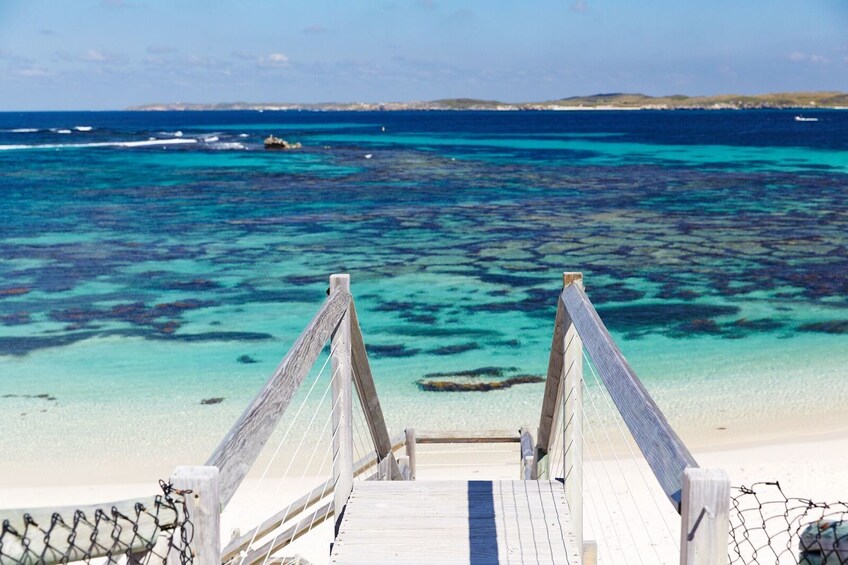 Rottnest Island Grand Package from Perth