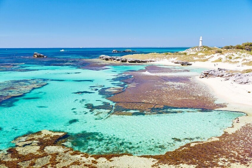 Rottnest Island Grand Package from Perth