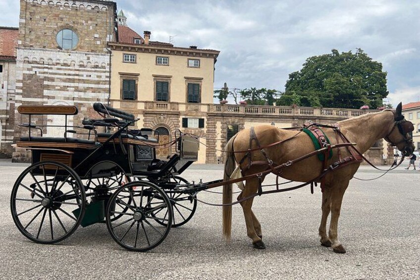 Lucca Classic – Carriage Tour in the Old Town 3