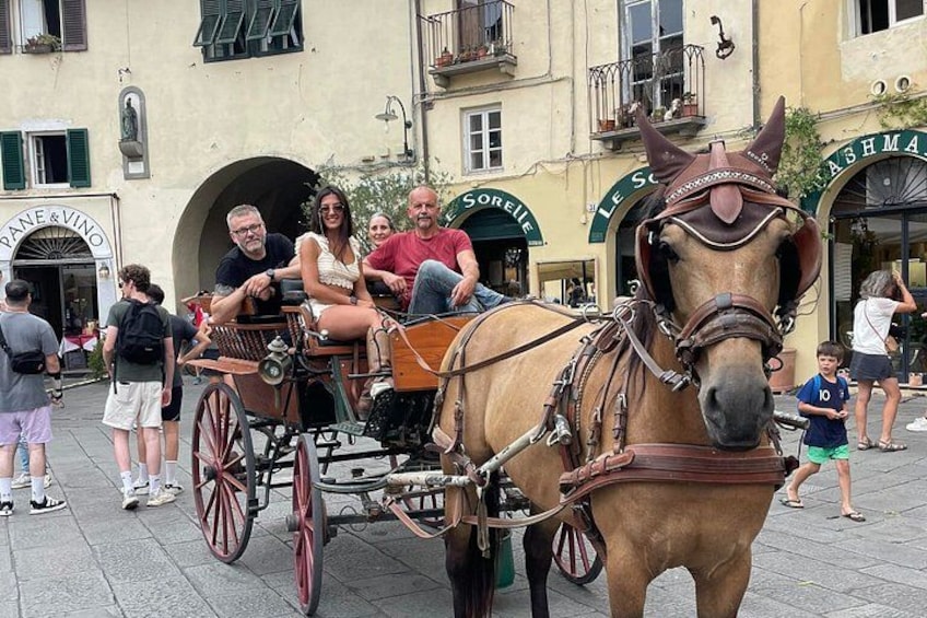 Lucca Classic  – Carriage Tour in the Old Town 1