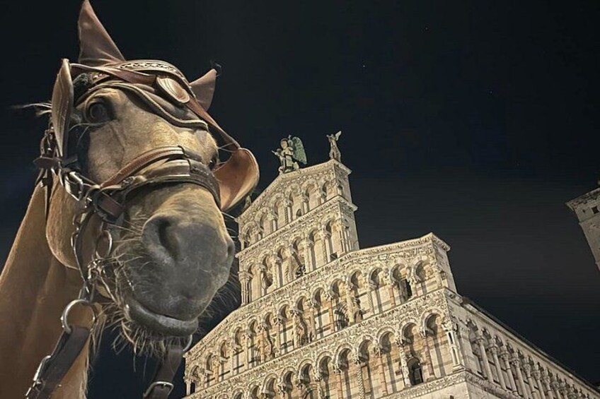 Lucca Classic – Carriage Tour in the Old Town 2