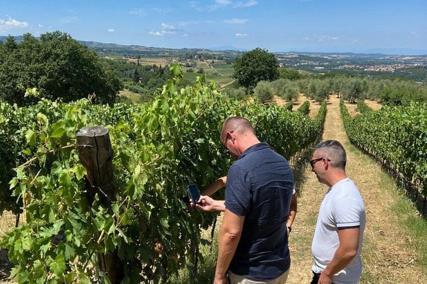 Two men in a vineyard, one holding a smartphone. 4