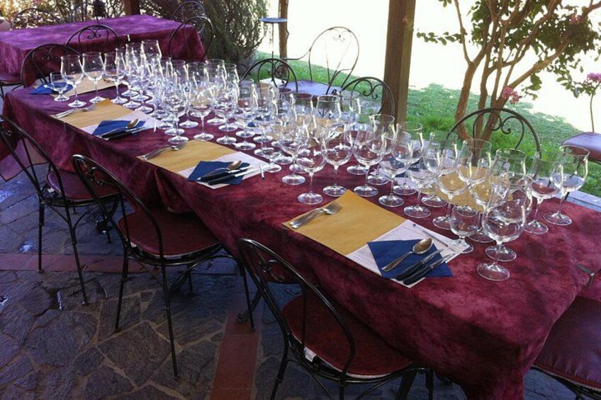 A table set for a wine tasting event with multiple wine glasses and napkins. 2