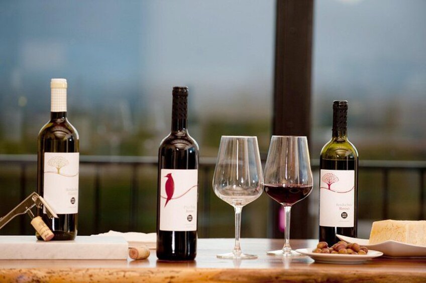 Wine and olive oil tasting & farm tour 5