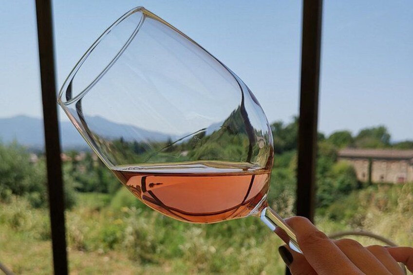 Wine and olive oil tasting & farm tour 3