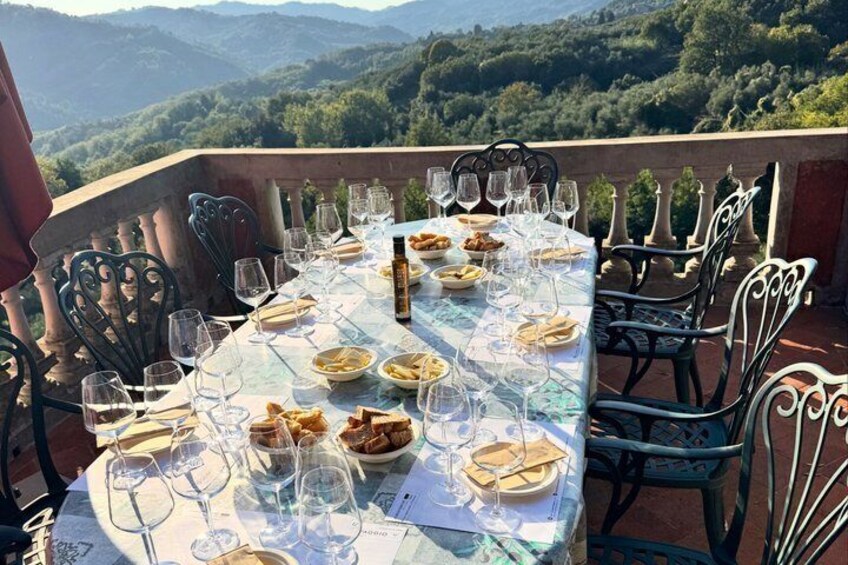 Wine tasting in Lucca "at home" with expert sommelier - 5 wines 4
