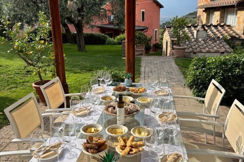 Wine tasting in Lucca "at home" with expert sommelier - 5 wines 5
