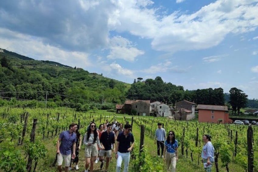 Private wine tour on the magical hills of Lucca with sommelier 4