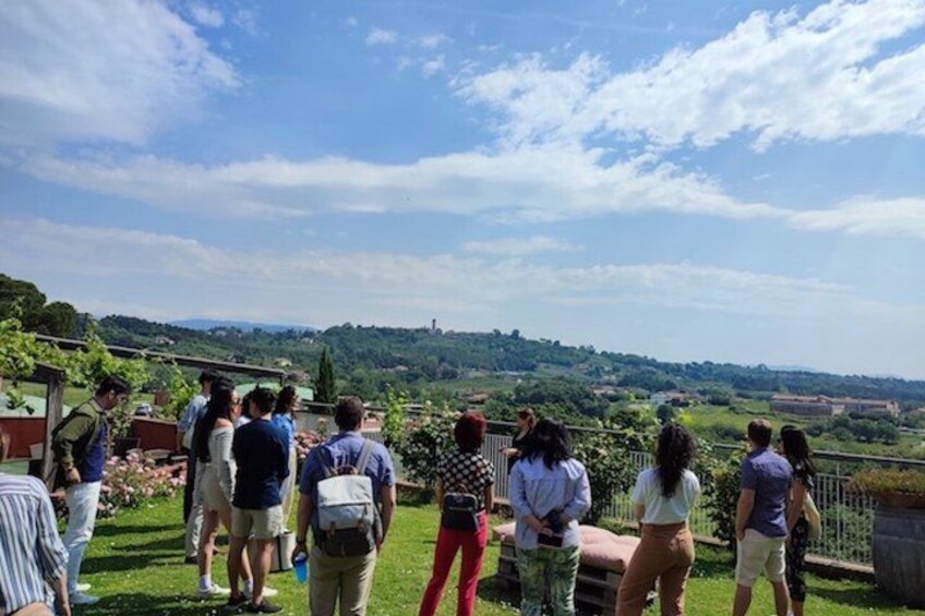 Private wine tour on the magical hills of Lucca with sommelier 3