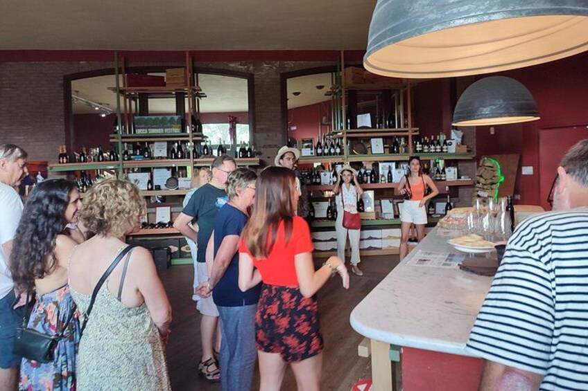 Private wine tour on the wonderful hills of Lucca 3
