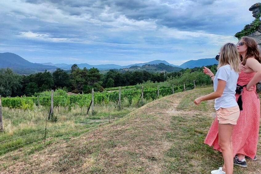 Private wine tour on the wonderful hills of Lucca 4