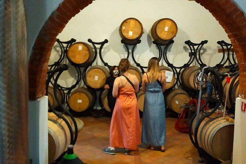 Private wine tour on the wonderful hills of Lucca 2