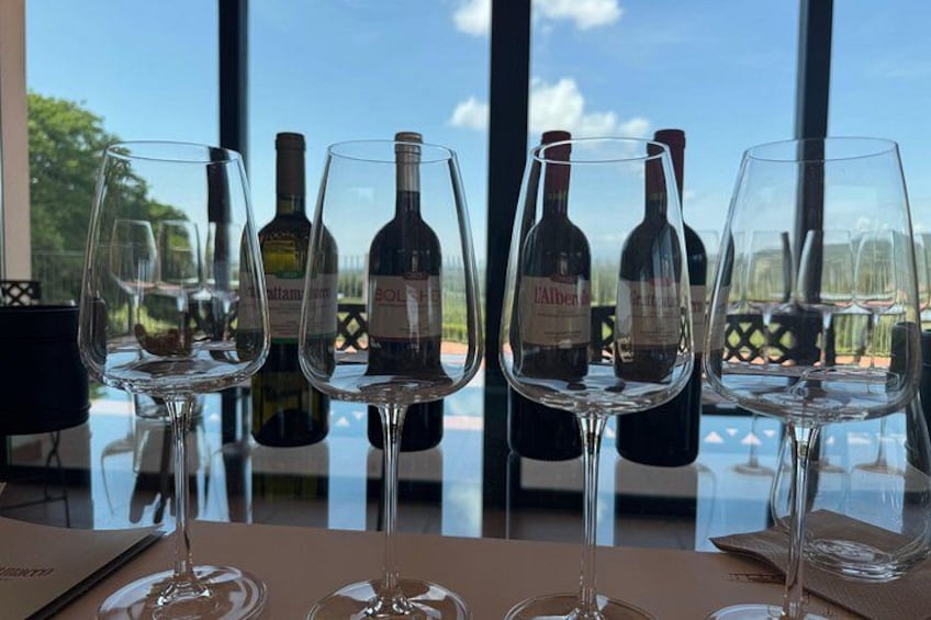 Copas y botellas de vino sobre una mesa, con vista a una valla y árboles al exterior. 2