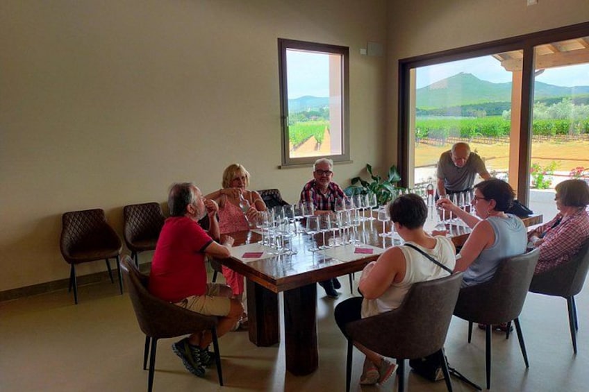 Un grupo de personas sentadas alrededor de una mesa con copas de vino, en una habitación con ventanas amplias con vistas a un viñedo. 5