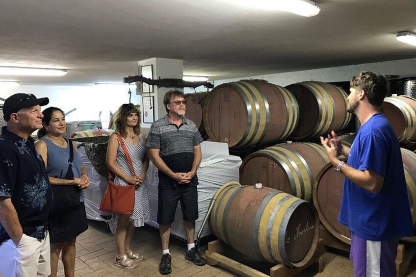 Bolgheri Wine tour 2