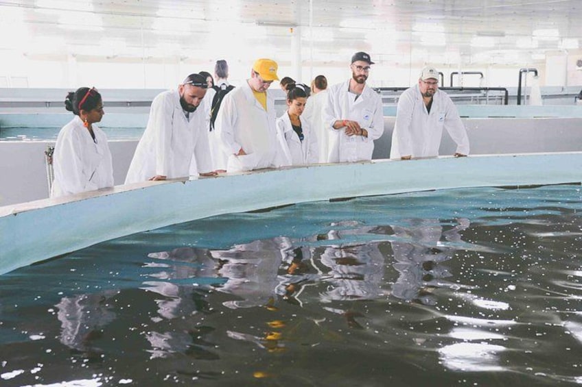 Un groupe de personnes vêtues de blouses blanches observe un grand aquarium rempli de poissons. 3