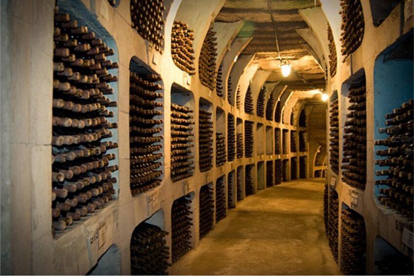 Biking a Guinness Book Winery 5