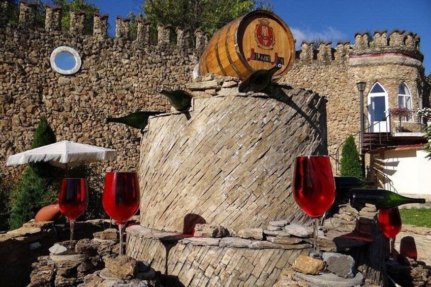Biking a Guinness Book Winery 4