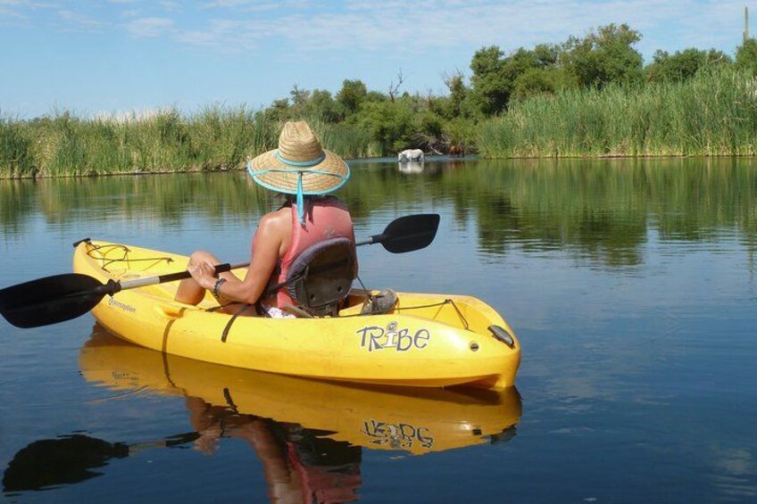 Kayaking the Salt River Foxtail Trip 2
