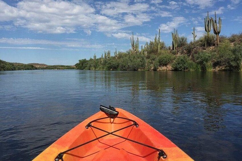 Kayaking the Salt River Foxtail Trip 2