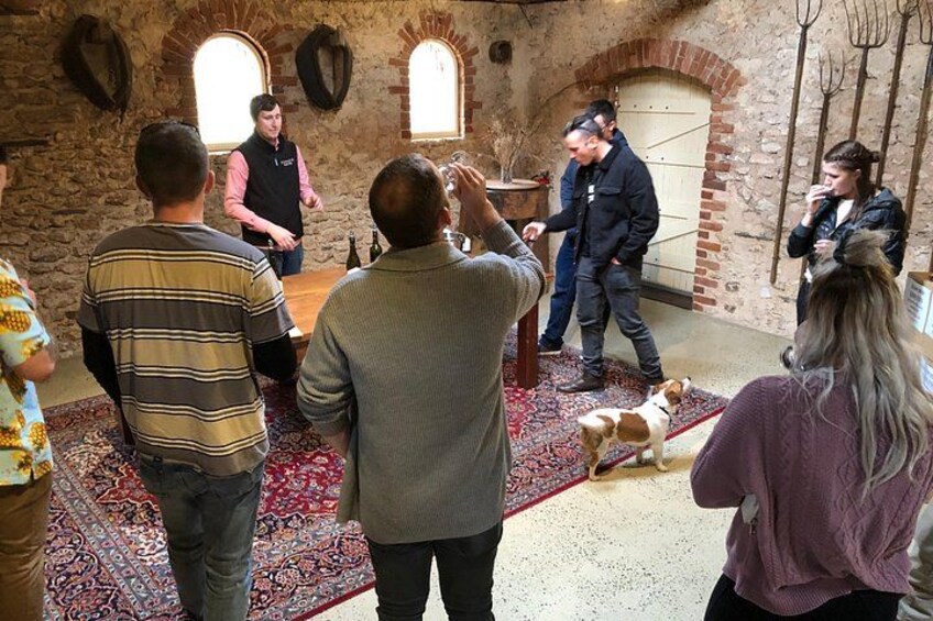 Een groep mensen in een kamer met stenen muren en een hond op een rood tapijt. 3