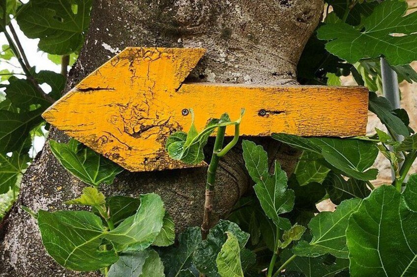 "Camino de Santiago": PORTUGUESE WAY. Private Walking Tour from Tui 3